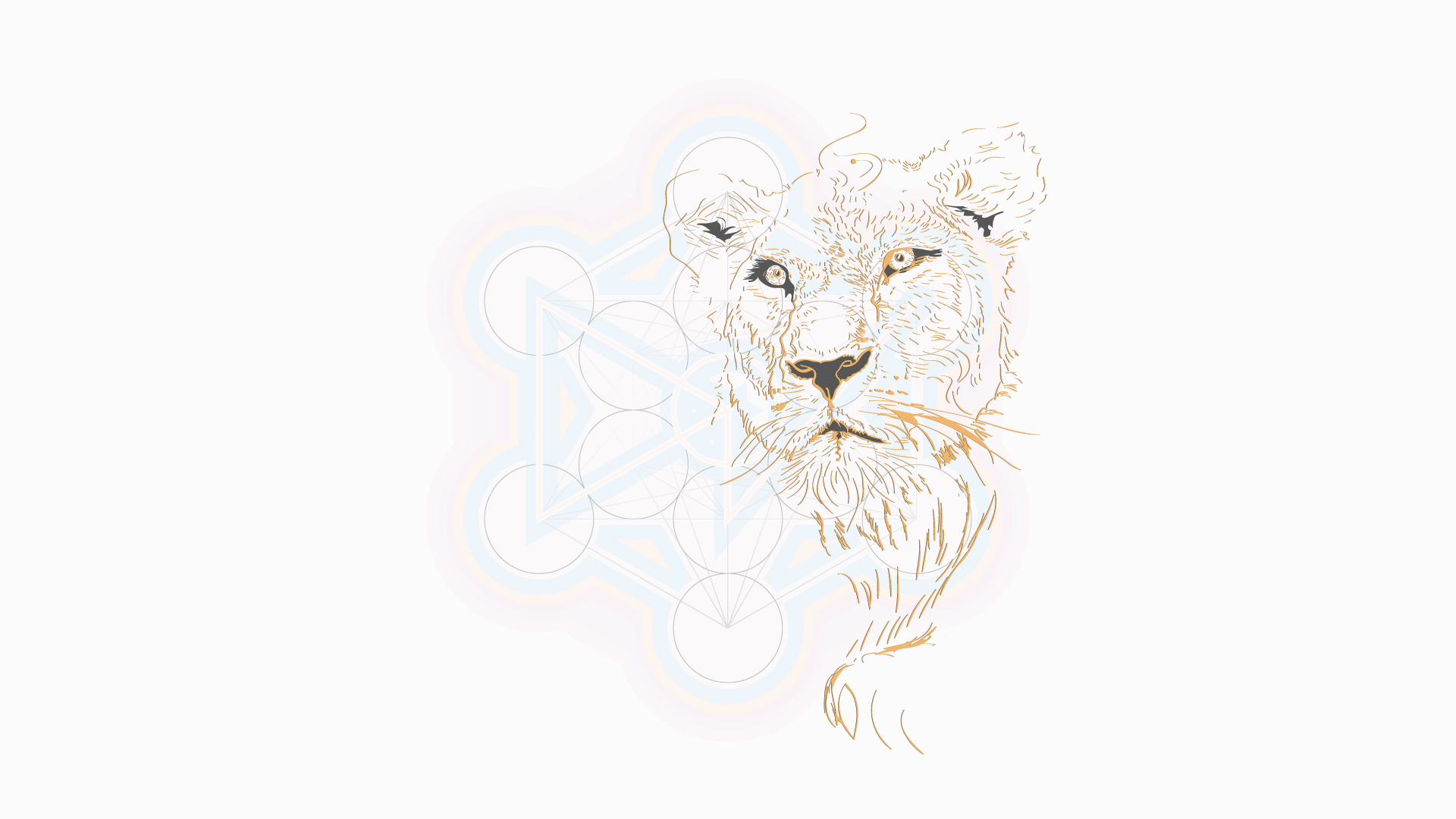 Illustration of lion